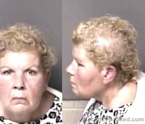 Mugshot of Lori Ann Tindall booked in Gaston County, North Carolina on October 24, 2026