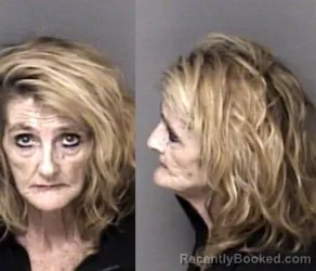 Mugshot of Lisa Moraleda Reinhardt booked in Gaston County, North Carolina on June 11, 2026