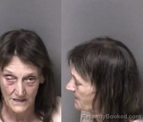 Mugshot of Paula Lee Armstrong booked in Gaston County, North Carolina on June 19, 2026