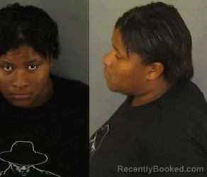 Mugshot of Natasha Stepney booked in Gaston County, North Carolina on October 25, 2026