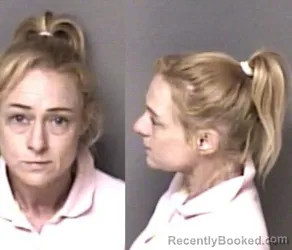 Mugshot of Lisa Joyce Land booked in Gaston County, North Carolina on October 9, 2026