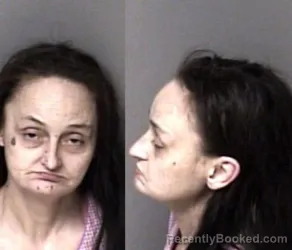 Mugshot of Tammy Bingham Pressley booked in Gaston County, North Carolina on July 30, 2026