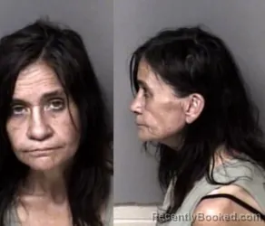 Mugshot of Christina Gonzales Stephens booked in Gaston County, North Carolina on March 7, 2026