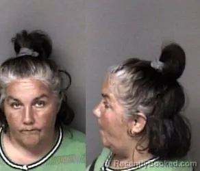 Mugshot of Angela Michelle Plemmons booked in Gaston County, North Carolina on October 8, 2026