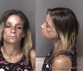 Mugshot of Sanja Denise Stallings booked in Gaston County, North Carolina on May 30, 2026
