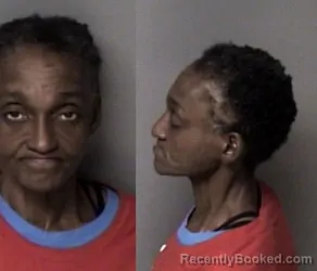 Mugshot of Gwendolyn Lane booked in Gaston County, North Carolina on March 22, 2026