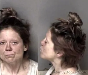 Mugshot of Heather Lauren Stroupe