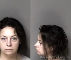 Mugshot of Andrea Melinda Johnson