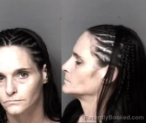Mugshot of Amanda Lynn Flowers