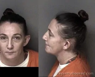 Mugshot of Tosha Marie Hernandez booked in Gaston County, North Carolina on June 9, 2026