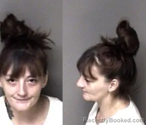 Mugshot of Christen Desiree Harvey booked in Gaston County, North Carolina on September 13, 2026