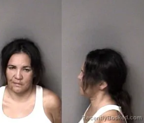 Mugshot of Leann Nicole Fairbanks booked in Gaston County, North Carolina on August 19, 2026