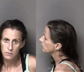 Mugshot of Tracy Keelyn Lawing booked in Gaston County, North Carolina on June 13, 2026