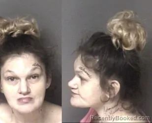 Mugshot of Megan Renita McMillian booked in Gaston County, North Carolina on April 9, 2026