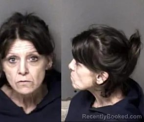 Mugshot of Lisa Moore Coleman Walker booked in Gaston County, North Carolina on March 8, 2026