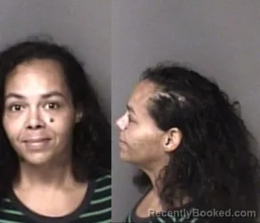 Mugshot of Megan Cherese Lipscomb booked in Gaston County, North Carolina on August 20, 2026