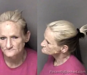 Mugshot of Shanna Stallings McConnell booked in Gaston County, North Carolina on June 4, 2026