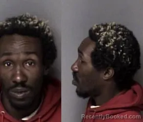 Mugshot of Dumetrice Laquawn Wilson
