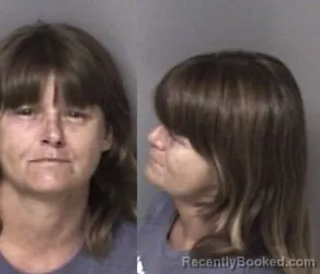 Mugshot of Bridget Dawn Hobbs booked in Gaston County, North Carolina on June 24, 2026