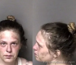 Mugshot of Brianna Renee Dodge