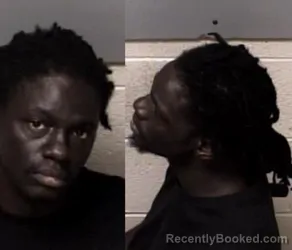 Mugshot of Delfon Fitzgerald Hope