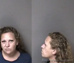 Mugshot of Angelee Christine Fowler booked in Gaston County, North Carolina on October 18, 2026