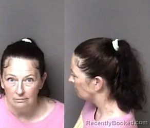 Mugshot of Ginger Stines Costner booked in Gaston County, North Carolina on October 5, 2026