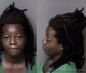 Mugshot of Anndreena Monique Carroll booked in Gaston County, North Carolina on March 21, 2026