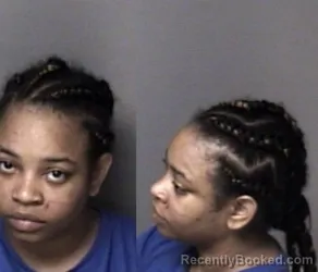 Mugshot of Deana Laisha Logan booked in Gaston County, North Carolina on June 11, 2026