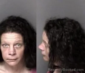 Mugshot of Tiffany Grice Dillard booked in Gaston County, North Carolina on March 15, 2026