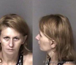 Mugshot of Brittany Carol Reinhardt booked in Gaston County, North Carolina on May 30, 2026