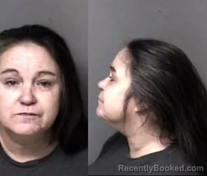 Mugshot of Tabitha Kay Medlin