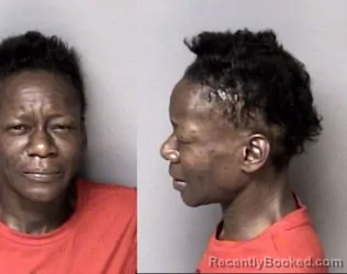 Mugshot of Dekita Levon Hudson booked in Gaston County, North Carolina on March 25, 2026