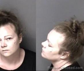 Mugshot of Tiffani Victoria Victoria Ellis booked in Gaston County, North Carolina on August 9, 2026