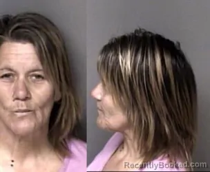 Mugshot of Kristie Marie Goins