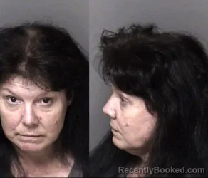 Mugshot of Misty Darlene Cody booked in Gaston County, North Carolina on June 4, 2026