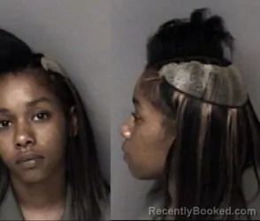 Mugshot of Ashley Jahnia Lipscomb booked in Gaston County, North Carolina on June 9, 2026