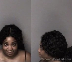 Mugshot of Destiny Tyronette Freeman booked in Gaston County, North Carolina on August 12, 2026