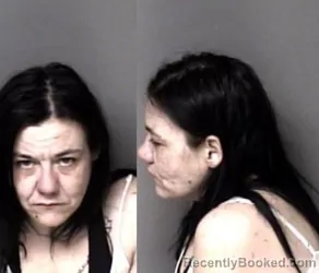 Mugshot of Chassidy Nicole Howard