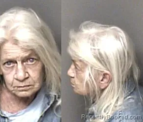 Mugshot of Jane Anderson Harn booked in Gaston County, North Carolina on June 2, 2026