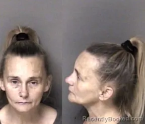 Mugshot of Laura Ann Anderson booked in Gaston County, North Carolina on June 1, 2026