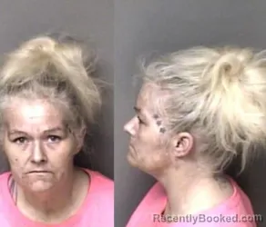 Mugshot of Crystal Celeste Medlin booked in Gaston County, North Carolina on March 5, 2026