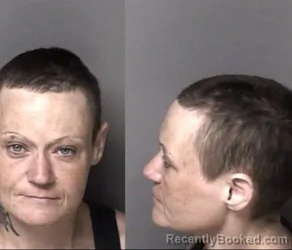Mugshot of Ashley Renee Plavsic booked in Gaston County, North Carolina on May 6, 2026