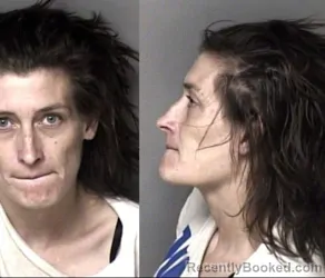 Mugshot of Brenda Christine Carr booked in Gaston County, North Carolina on August 7, 2026