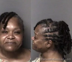 Mugshot of Chastity Tachelle Meeks booked in Gaston County, North Carolina on June 20, 2026