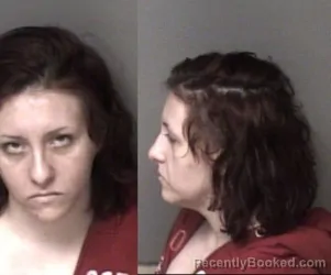 Mugshot of Ashley Nicole Clark booked in Gaston County, North Carolina on March 31, 2026