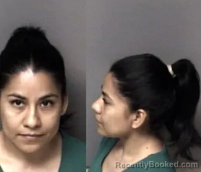 Mugshot of Elizabeth Angeles-Rodriguez booked in Gaston County, North Carolina on August 10, 2026