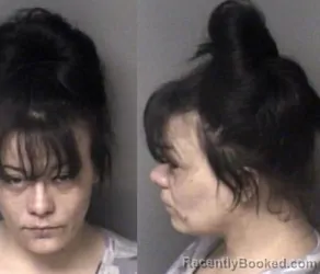 Mugshot of Harley Rae Simmons booked in Gaston County, North Carolina on March 31, 2026