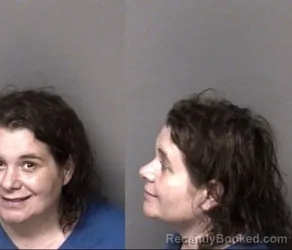 Mugshot of Rachael Erin Harvey booked in Gaston County, North Carolina on June 8, 2026
