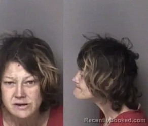 Mugshot of Sharon Rose Stamey booked in Gaston County, North Carolina on March 29, 2026